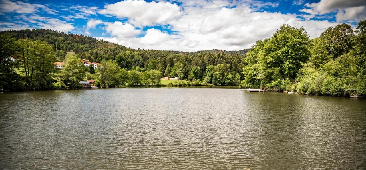 Отель Der Seehof Хауценберг