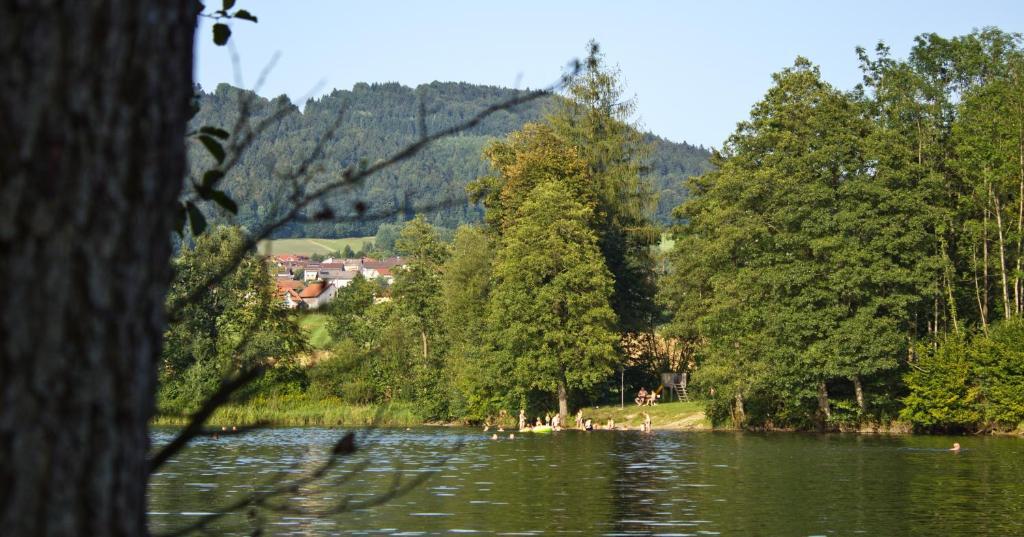 Der Seehof 3* Хауценберг