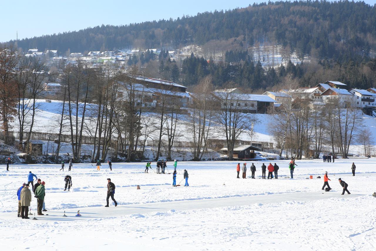 Der Seehof 3* Хауценберг